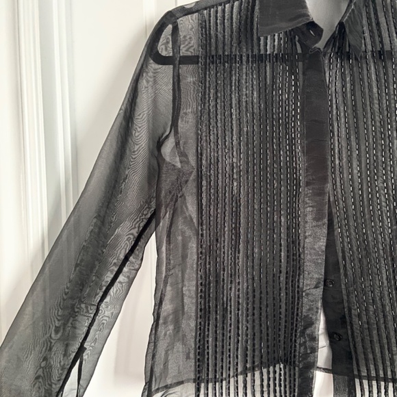 Like new! Fancy Sheer Organza Blouse - Picture 3 of 3
